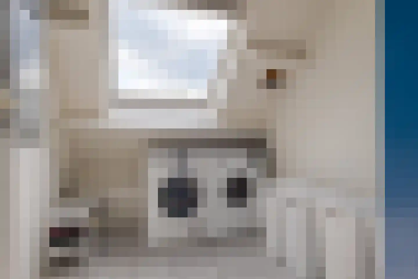 Dingspil 7 Borger thumbnail 52