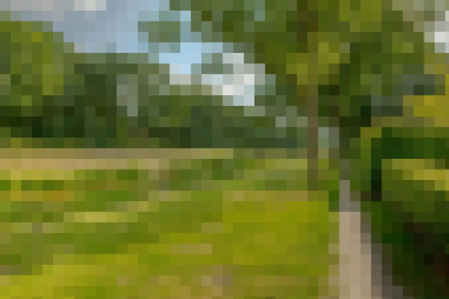 Dingspil 7 Borger thumbnail 54