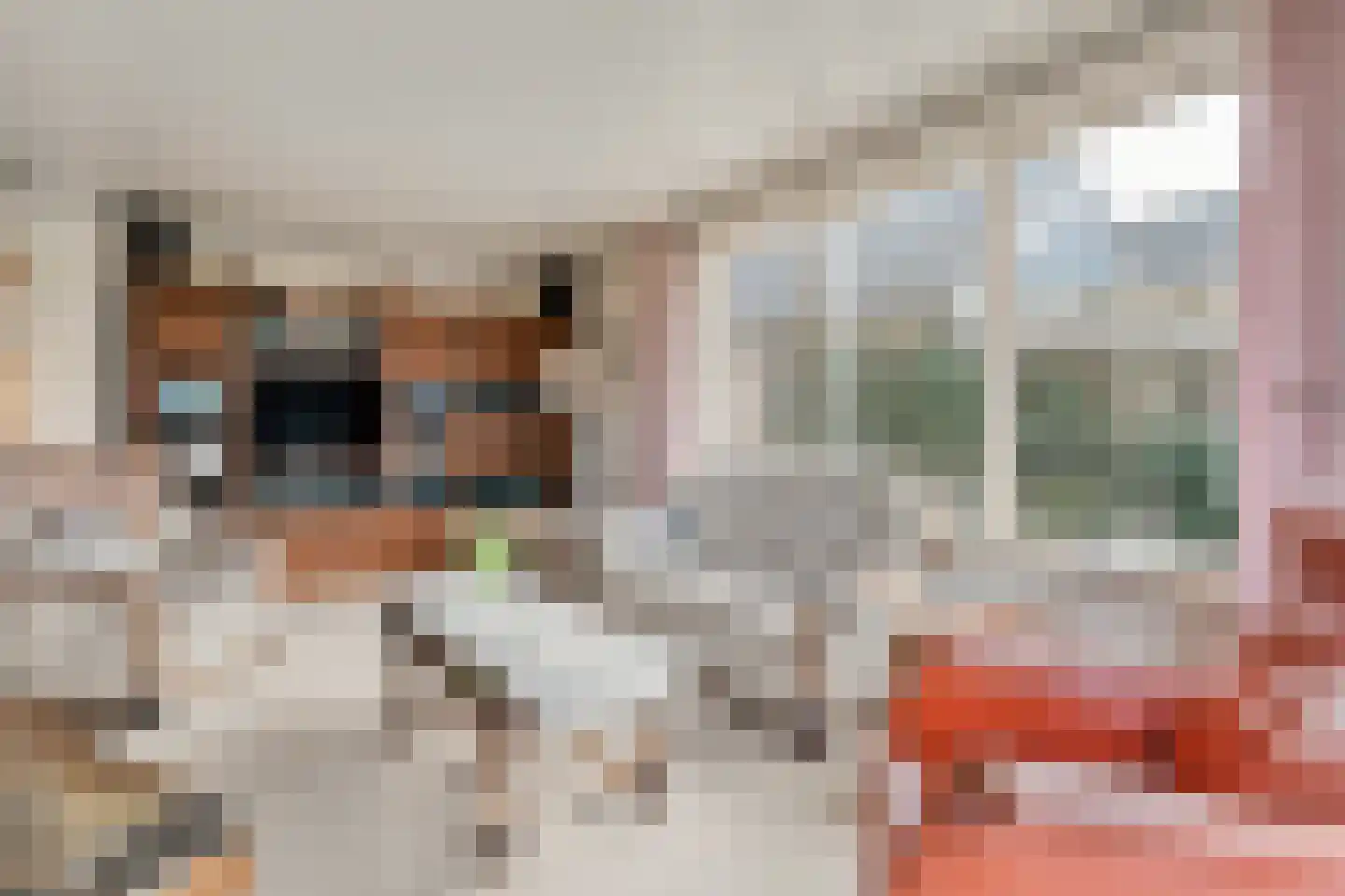 Dingspil 7 Diever thumbnail 11