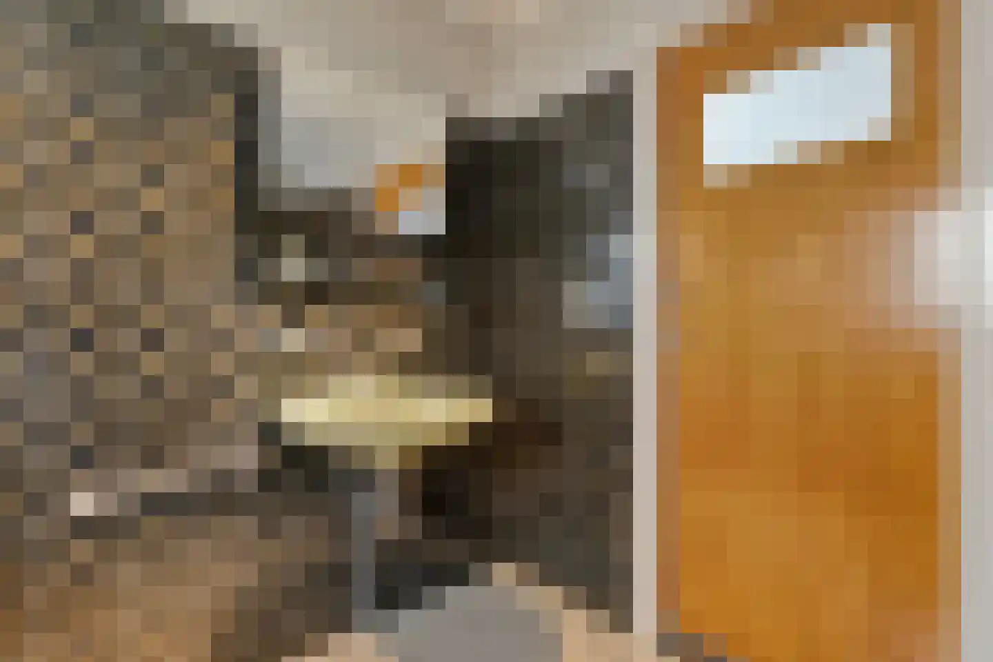 Dingspil 7 Diever thumbnail 20
