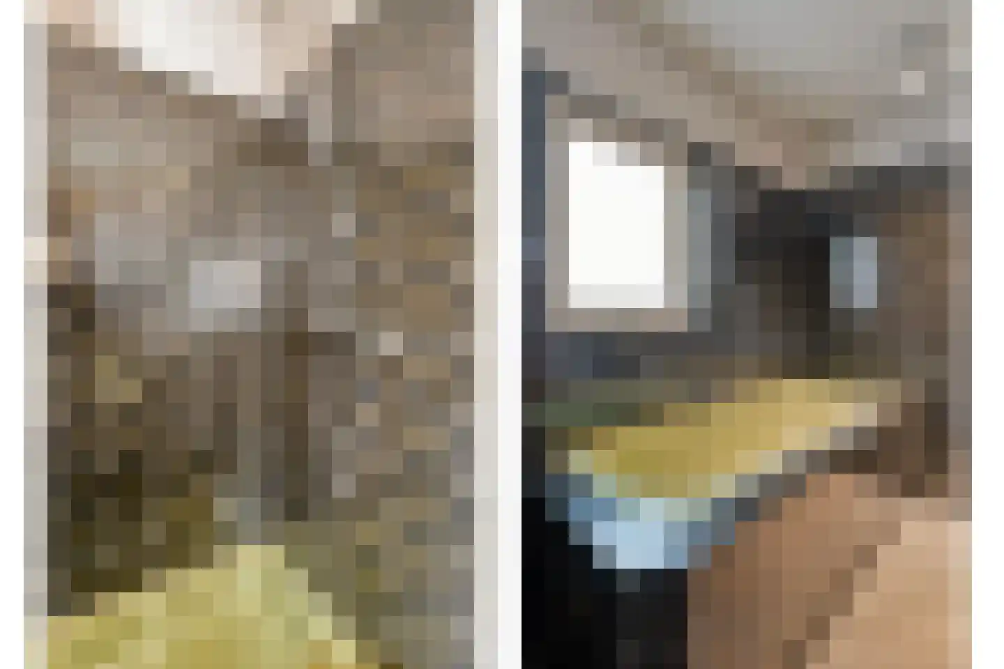 Dingspil 7 Diever thumbnail 21