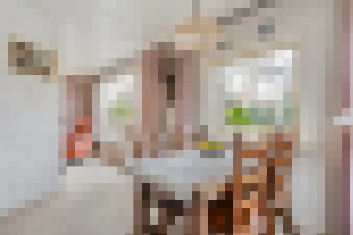 Dingspil 7 Diever thumbnail 5