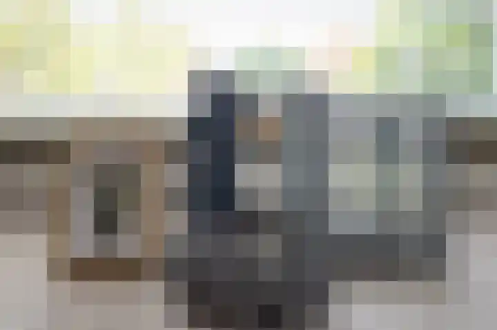 Dingspil 8 Vries thumbnail 12