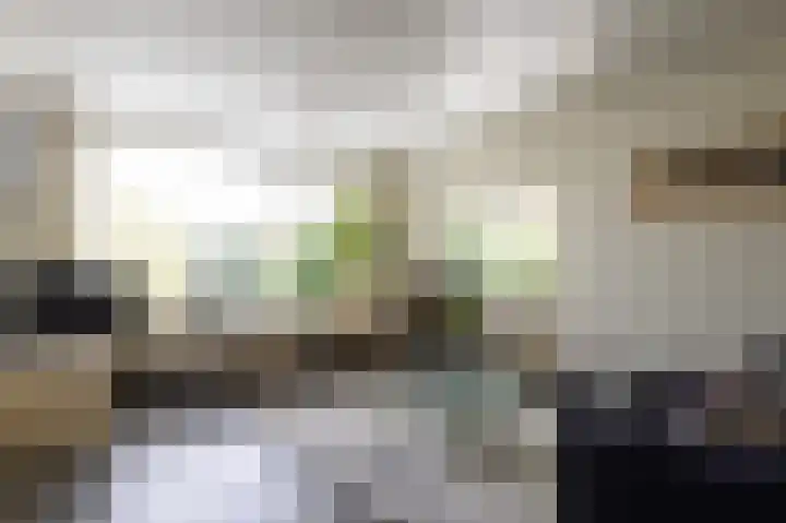 Dingspil 8 Vries thumbnail 13
