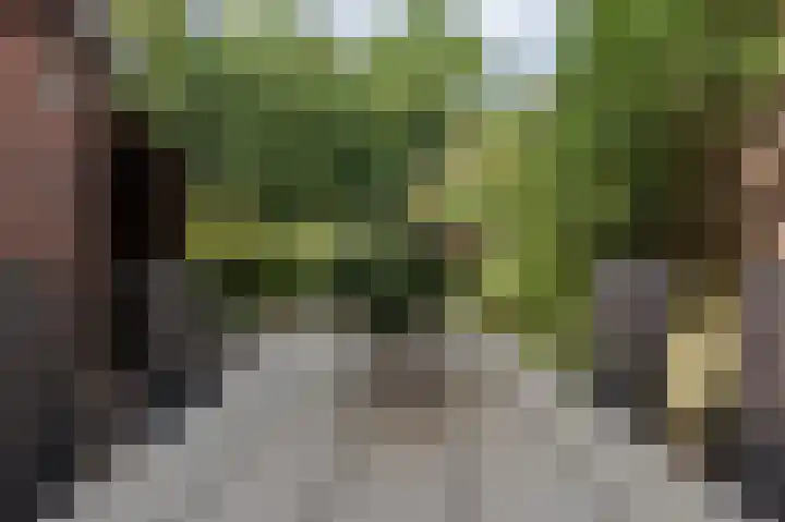 Dingspil 8 Vries thumbnail 20