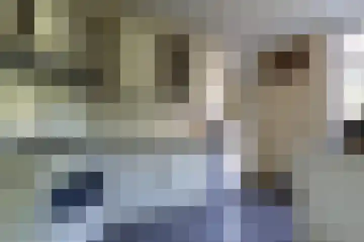 Dingspil 8 Vries thumbnail 23