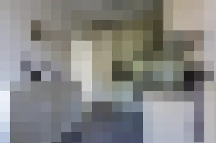 Dingspil 8 Vries thumbnail 26