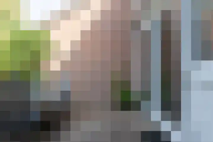 Dingspil 8 Vries thumbnail 31