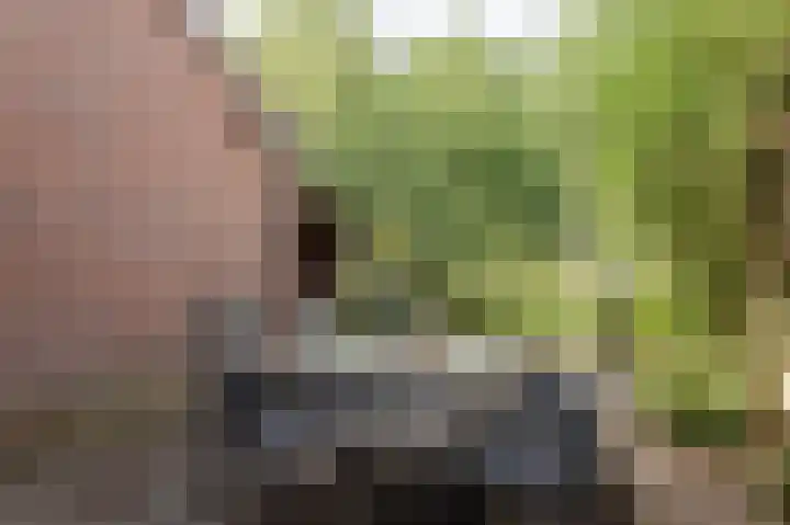 Dingspil 8 Vries thumbnail 32