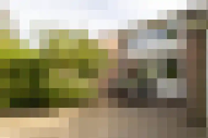 Dingspil 8 Vries thumbnail 33