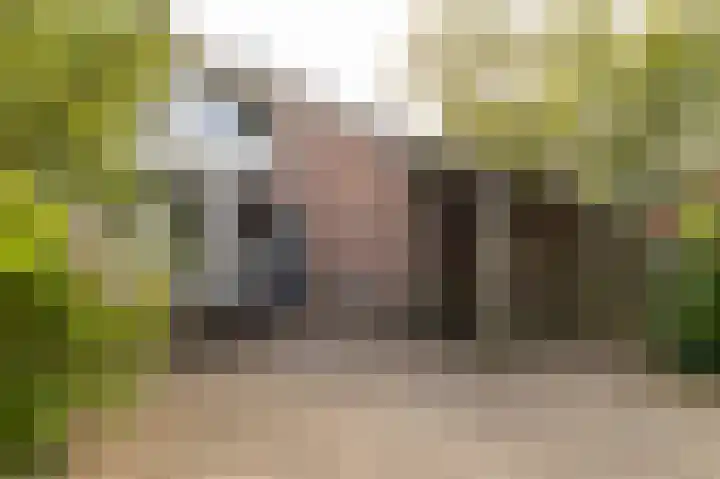 Dingspil 8 Vries thumbnail 34