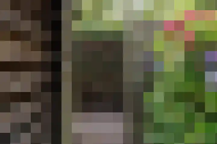 Dingspil 8 Vries thumbnail 36