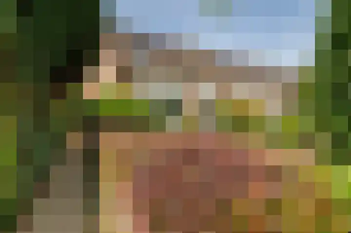 Dingspil 8 Vries thumbnail 37