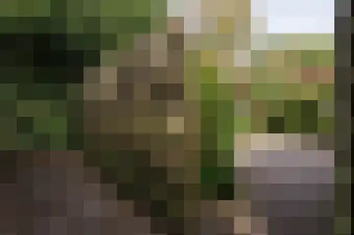 Dingspil 8 Vries thumbnail 38