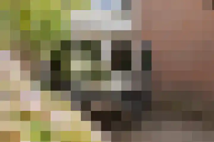 Dingspil 8 Vries thumbnail 4