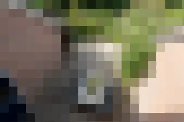 Dingspil 8 Vries thumbnail 55