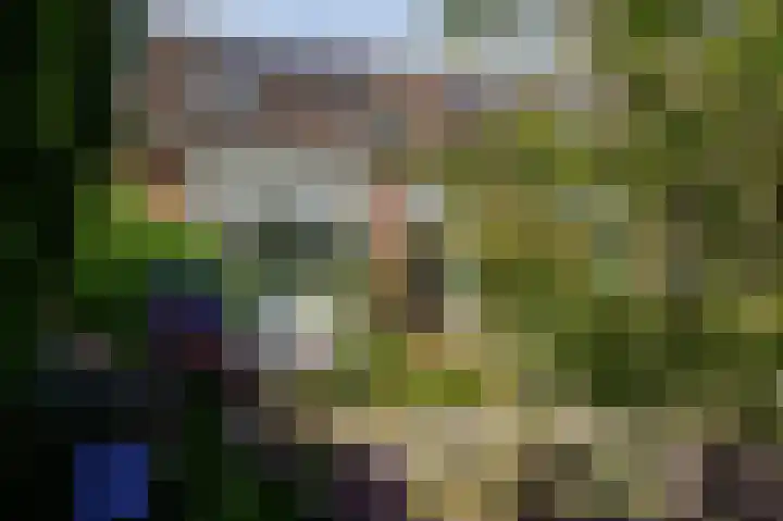 Dingspil 8 Vries thumbnail 6