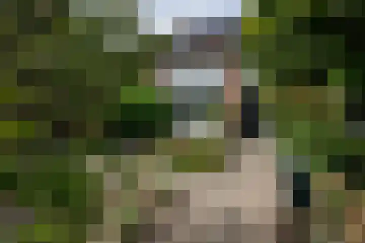 Dingspil 8 Vries thumbnail 7