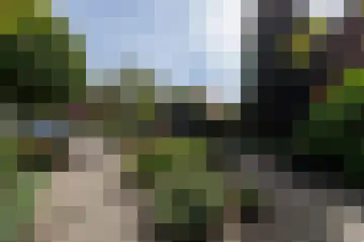 Dingspil 8 Vries thumbnail 70