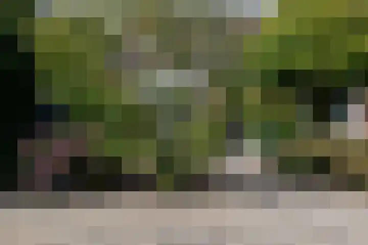 Dingspil 8 Vries thumbnail 72