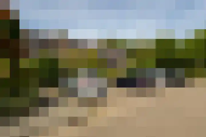 Dingspil 8 Vries thumbnail 73