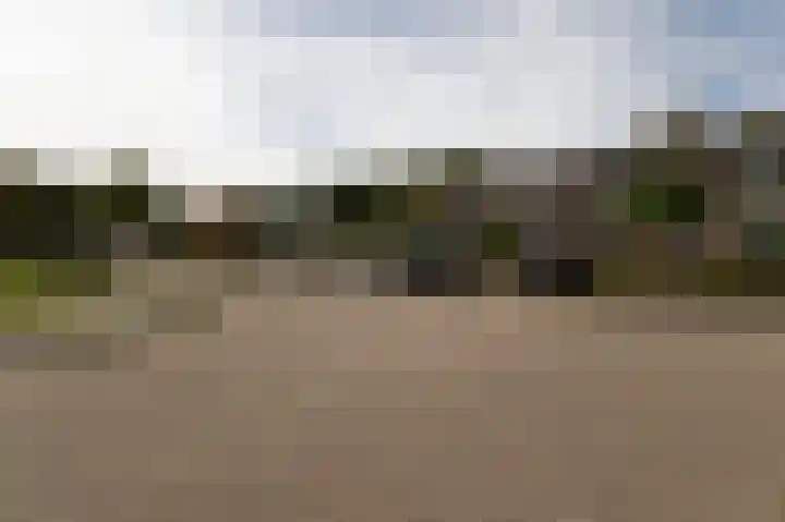 Dingspil 8 Vries thumbnail 74