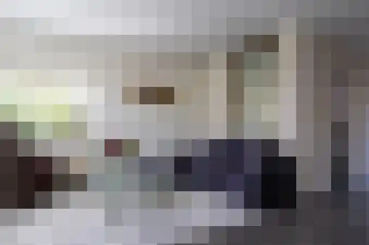Dingspil 8 Vries thumbnail 9