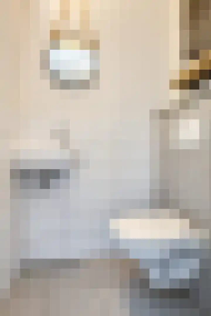 Dingsstraat 7 Hegelsom thumbnail 12