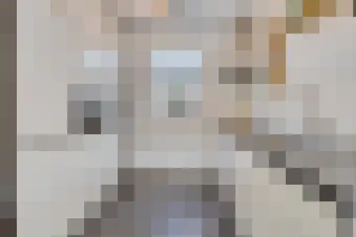 Dingsstraat 7 Hegelsom thumbnail 20