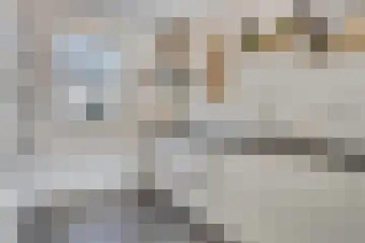 Dingsstraat 7 Hegelsom thumbnail 21