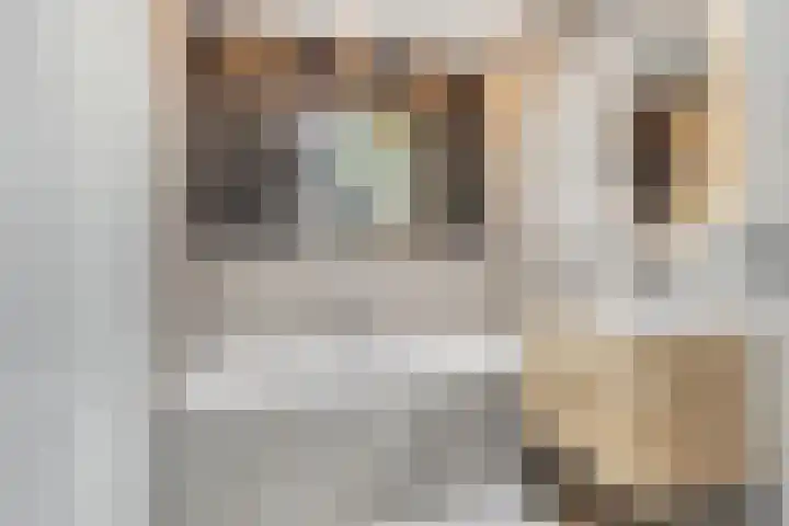 Dingsstraat 7 Hegelsom thumbnail 26
