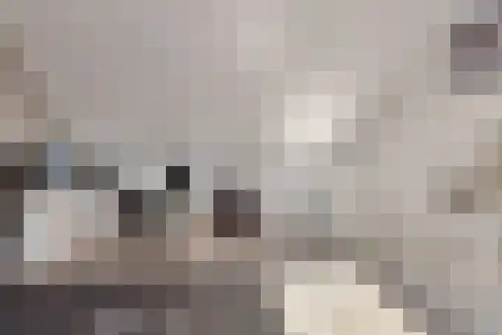 Dingsstraat 7 Hegelsom thumbnail 37