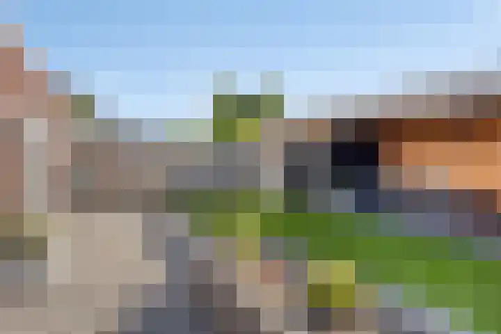 Dingsstraat 7 Hegelsom thumbnail 39