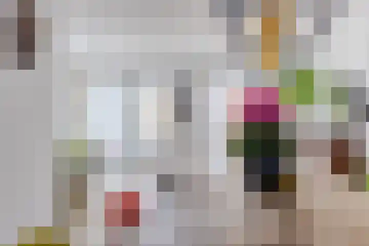 Dingstal 7 Assendelft thumbnail 14