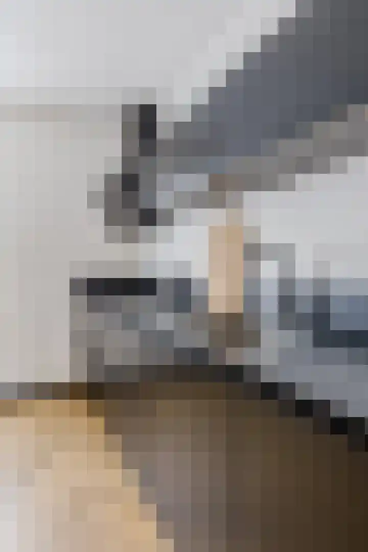 Dingstal 7 Assendelft thumbnail 16