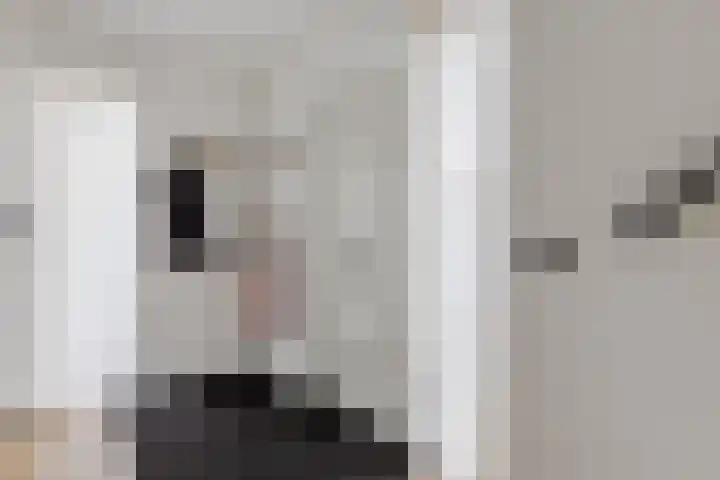 Dingstal 7 Assendelft thumbnail 18