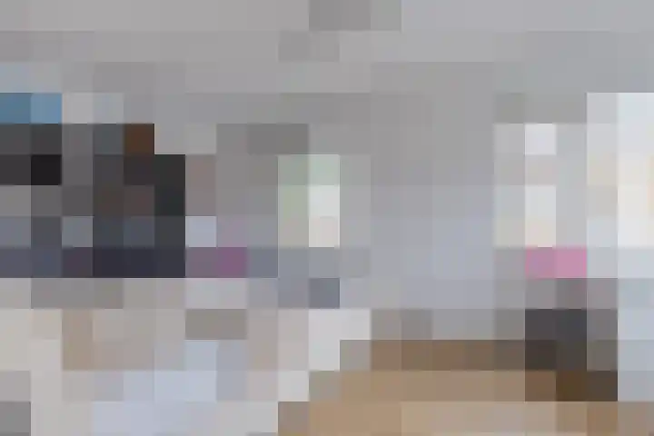 Dingstal 7 Assendelft thumbnail 19