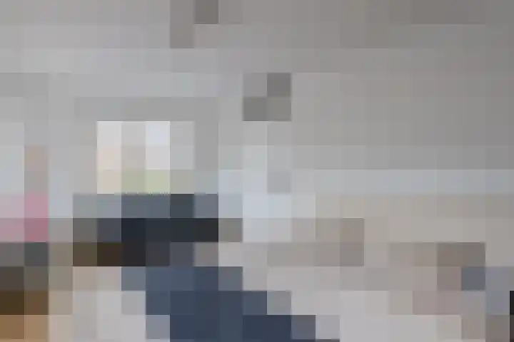 Dingstal 7 Assendelft thumbnail 20