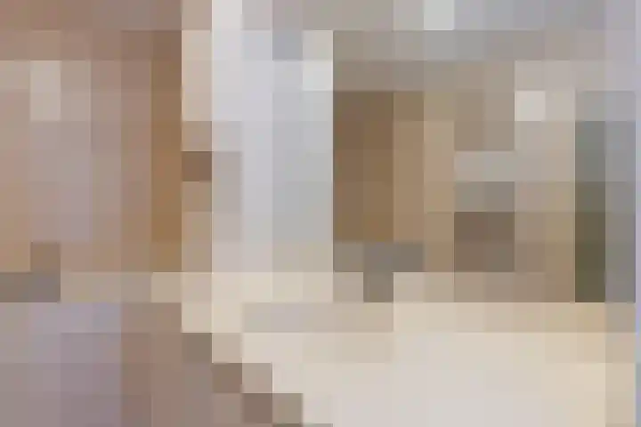Dingstal 7 Assendelft thumbnail 27
