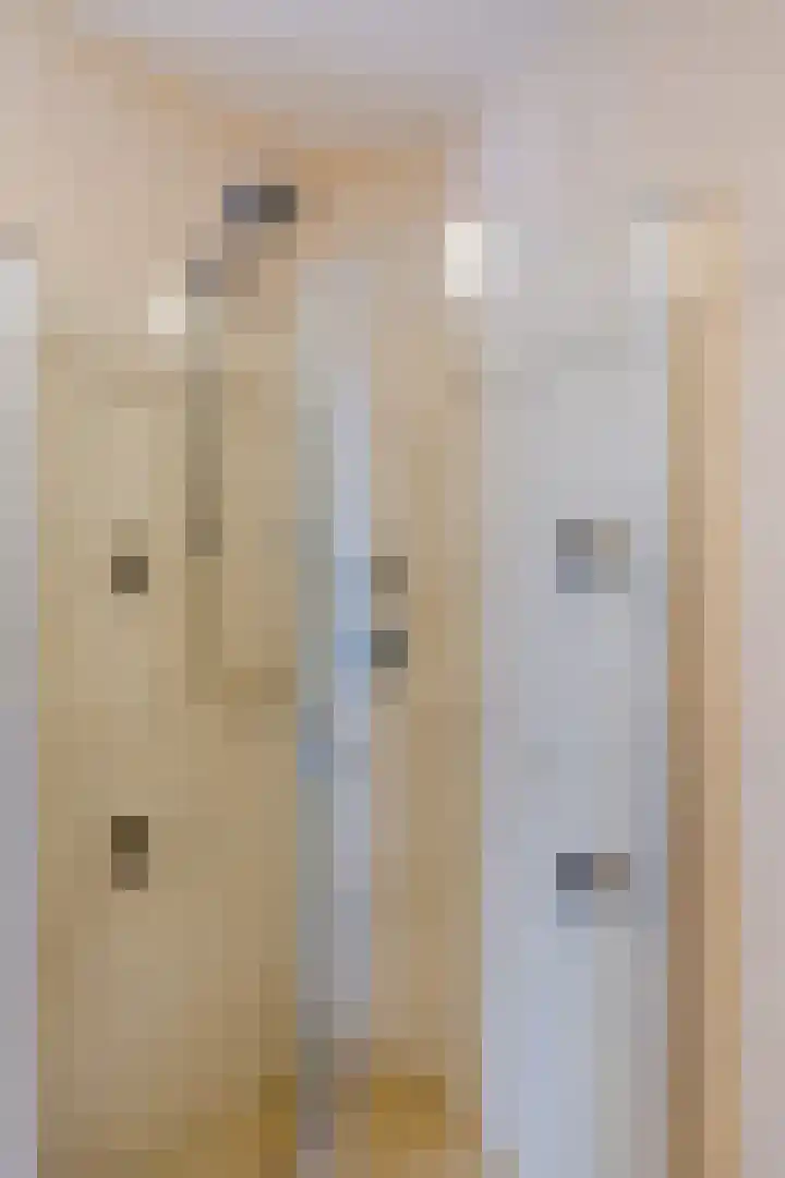 Dingstal 7 Assendelft thumbnail 28