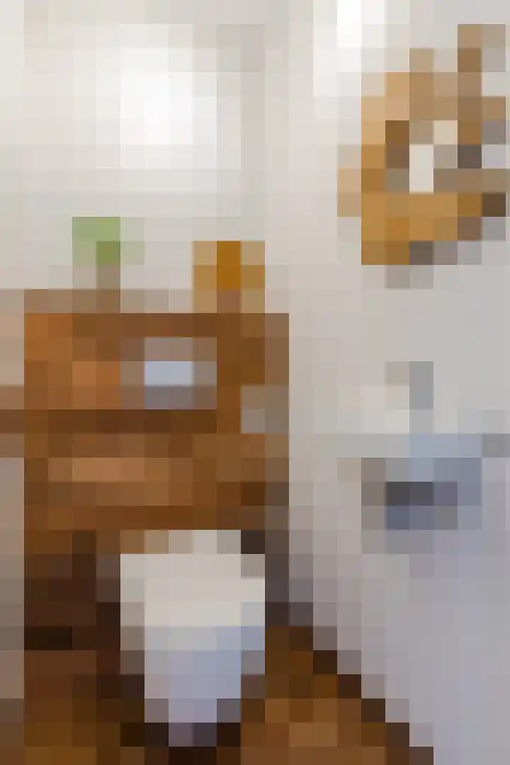 Dingstal 7 Assendelft thumbnail 29