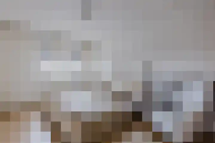 Dingstal 7 Assendelft thumbnail 31
