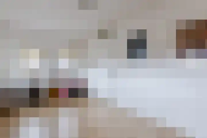 Dingstal 7 Assendelft thumbnail 35