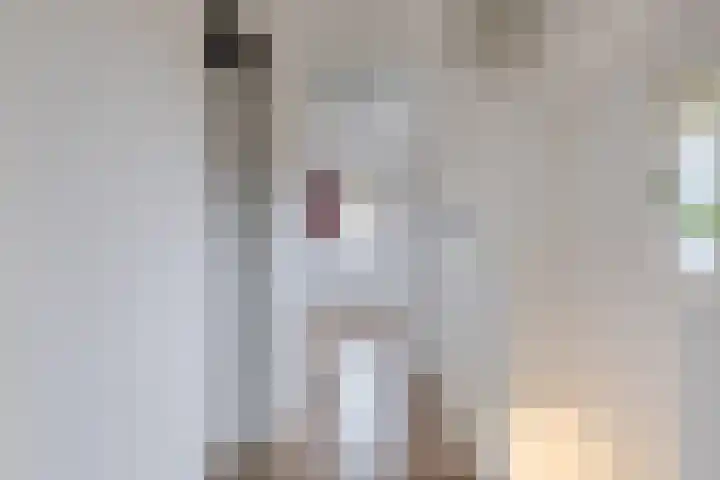 Dingstal 7 Assendelft thumbnail 38