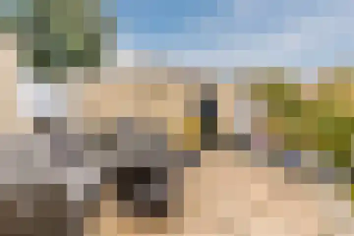 Dingstal 7 Assendelft thumbnail 4