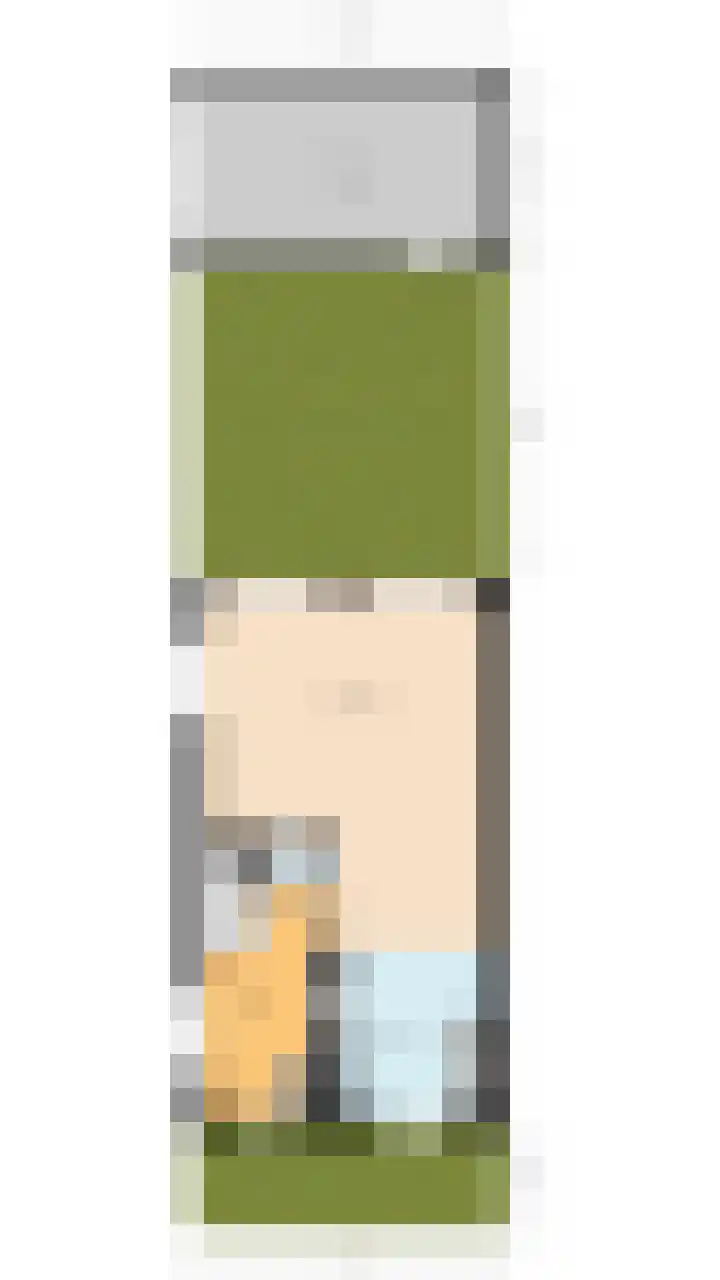 Dingstal 7 Assendelft thumbnail 46