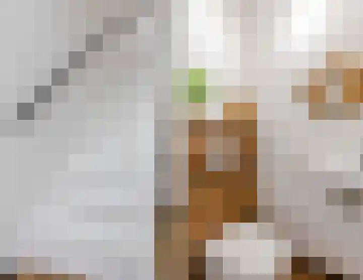 Dingstal 7 Assendelft thumbnail 6
