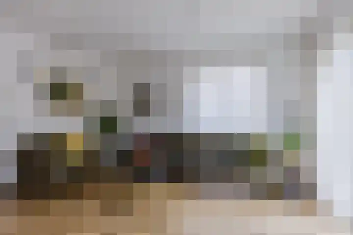 Dingstal 7 Assendelft thumbnail 7