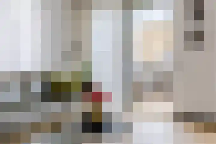 Dingstal 7 Assendelft thumbnail 9