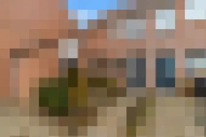Dinkel 13 Heerhugowaard thumbnail 22